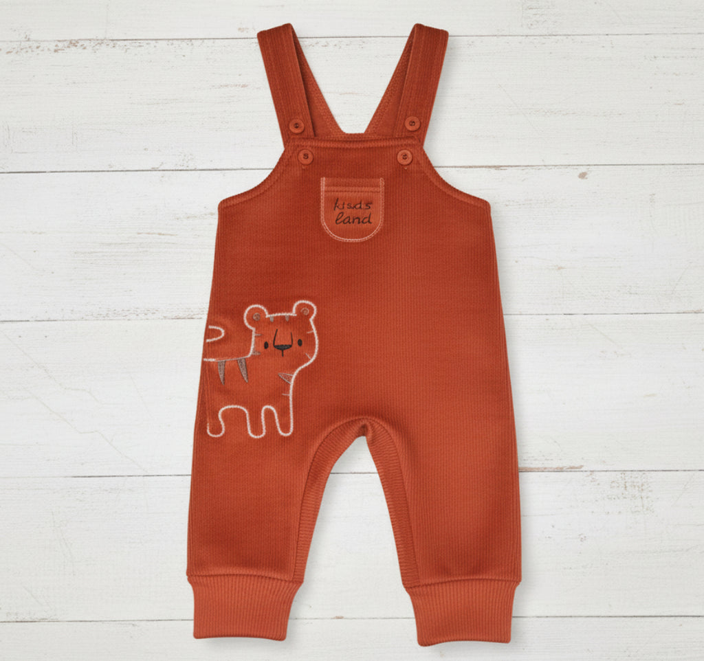 Little Tigers 2-Piece Set